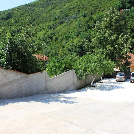 Apartment Bijelavista Herceg Novi Exterior photo